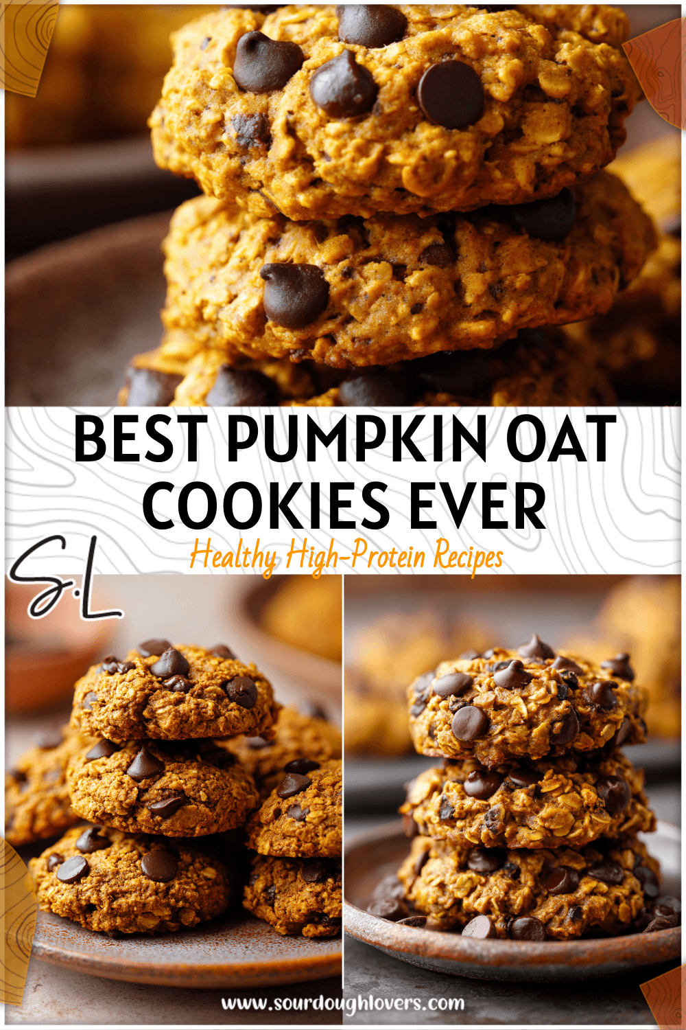 Healthy Pumpkin Oat Cookies with Chocolate Chips 3 Healthy Pumpkin Oat Cookies with Chocolate Chips