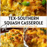 San Antonio Squash Casserole with Southern Flavors 4 San Antonio squash casserole infused with cheese and spices baked in a rustic Southern dish 2