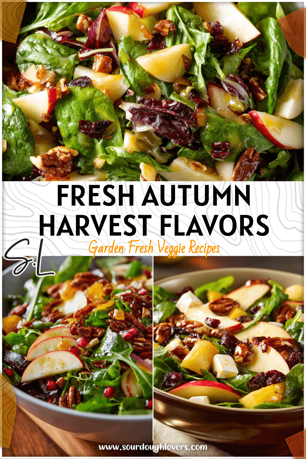 Autumn Harvest Apple Salad Recipe: Fresh & Yummy Fall Flavors 3 Autumn Harvest Apple Salad Recipe Fresh Yummy Fall Flavors