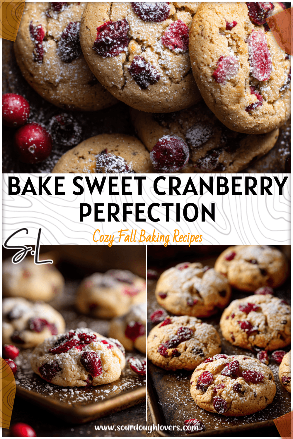 Delicious Cranberry Cookies with a Hint of Honey 3 Delicious Cranberry Cookies with a Hint of Honey