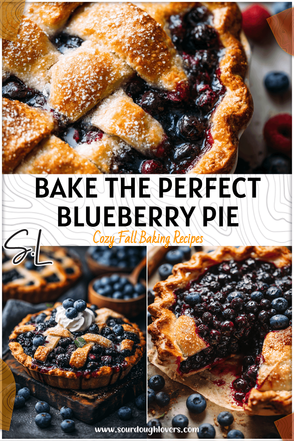 The Best Blueberry Pie Recipe for Every Season 3 The Best Blueberry Pie Recipe for Every Season