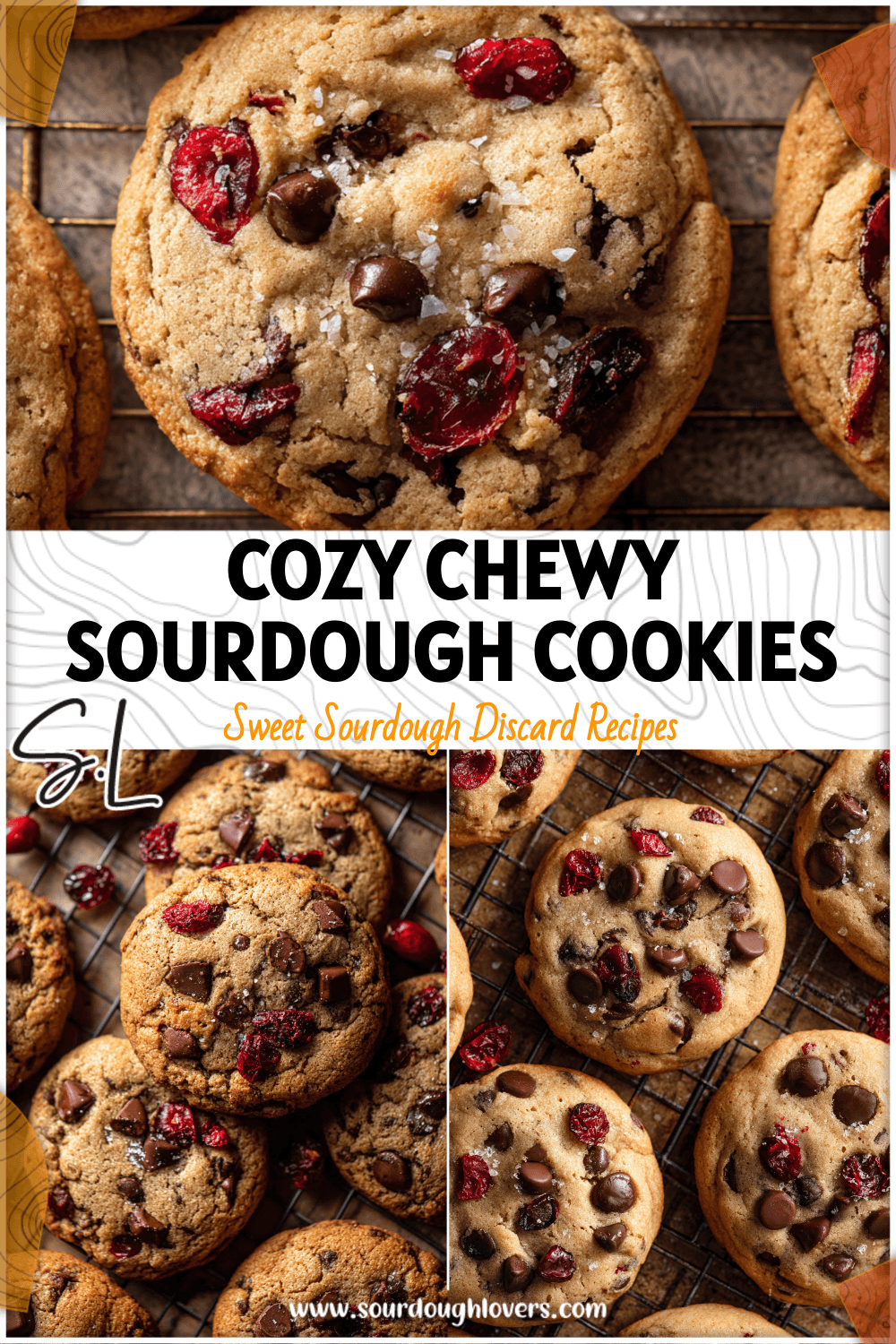 Close-up of chewy sourdough chocolate chip cranberry cookies on a cooling rack.