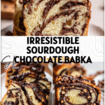 Chocolate Hazelnut Sourdough Babka Bread With Chocolate Chips 5 Twisted Sourdough Chocolate Babka Bread with hazelnut filling and chocolate chips on a white plate