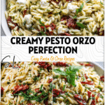 A colorful pesto orzo salad with feta and sun-dried tomatoes in a white bowl topped with fresh basil.