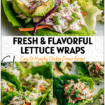 Fresh lettuce wraps filled with creamy chicken salad and ripe avocado slices arranged on a white plate.