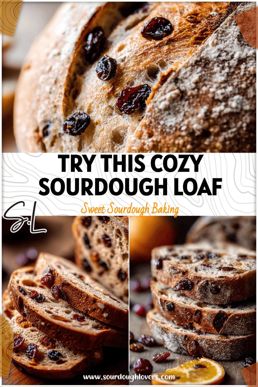 Rustic cinnamon raisin sourdough loaf with cranberry orange slices and golden crust