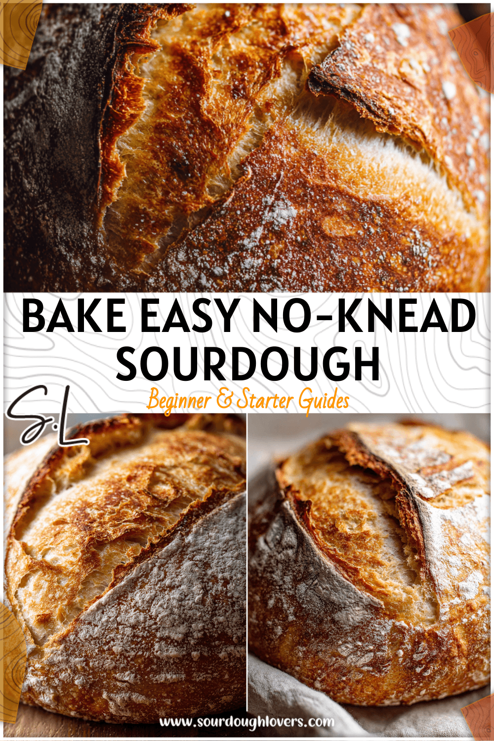 Golden crusty loaf of no-knead overnight sourdough bread made with a bubbly sourdough bread starter.