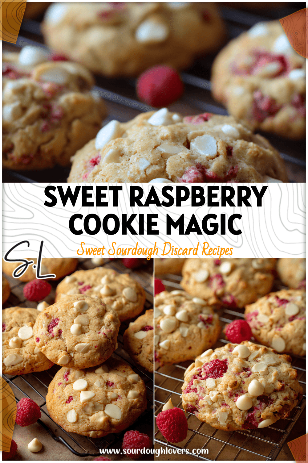 Golden white chocolate raspberry sourdough cookies arranged beside Raspberry And White Chocolate Scones on a cooling rack