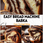 Soft Sourdough Chocolate Babka Bread Machine Recipe 5 Sliced sourdough chocolate babka bread showing rich swirls of melted chocolate and soft texture.