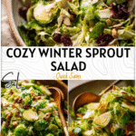 A winter brussel sprout salad with roasted and shaved leaves served in a rustic bowl.