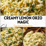Creamy Lemon Parmesan Orzo with Fresh Dill and Feta 5 Bowl of creamy lemon parmesan orzo pasta garnished with dill and feta crumbles on a rustic plate