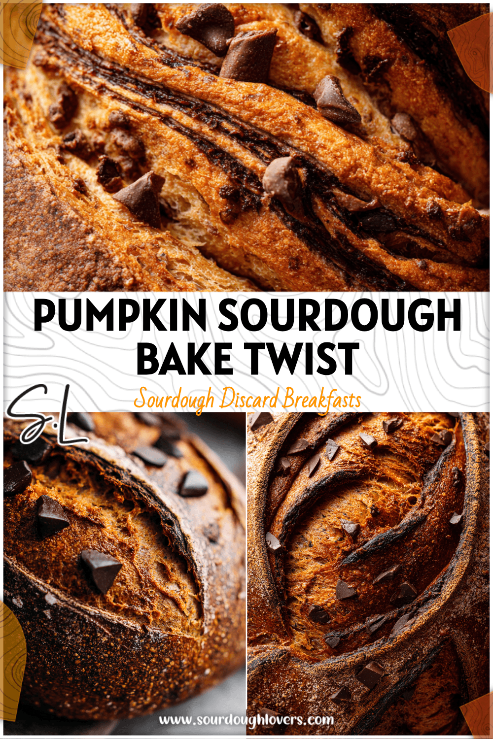 Rustic pumpkin maple sourdough bake topped with melted chocolate chips and artisan bread scoring. 2026