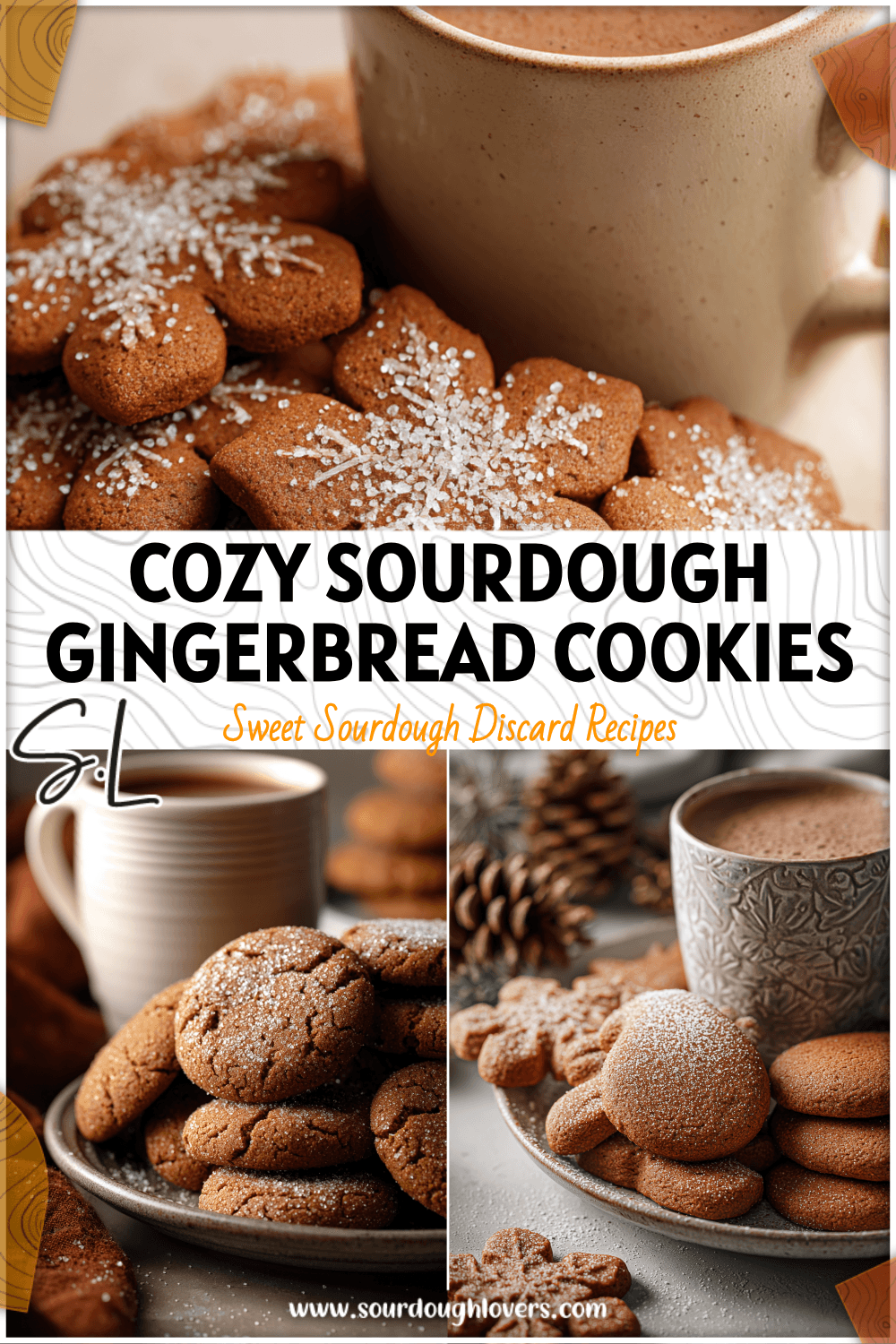 Plate of soft gingerbread sourdough cookies dusted with sugar beside a mug of cocoa for holiday season