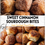 Golden sourdough pretzel bites coated with cinnamon sugar made from sourdough discard. 2026