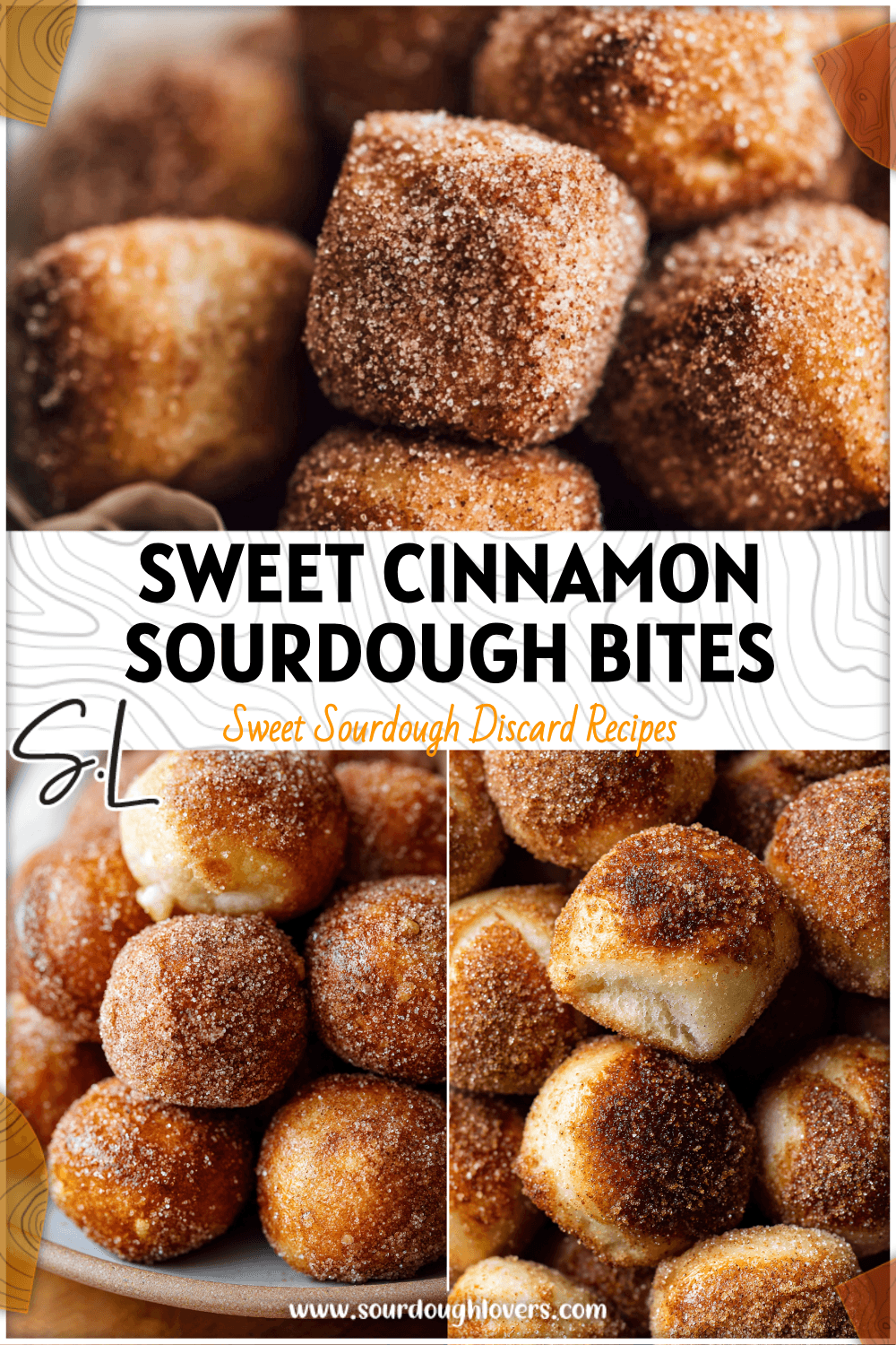 Golden sourdough pretzel bites coated with cinnamon sugar made from sourdough discard. 2026