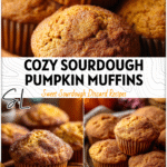 Sourdough Pumpkin Spice Muffins with Cozy Fall Flavor 5 Golden Sourdough Pumpkin Muffins topped with cinnamon sugar on a rustic fall table.