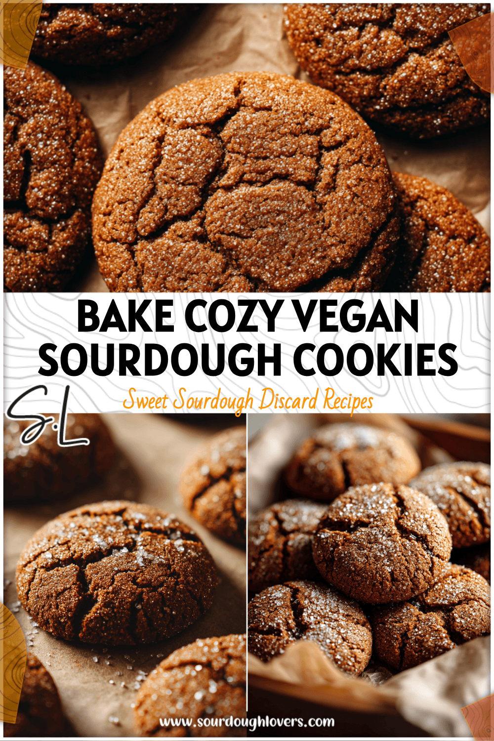 Round vegan sourdough ginger cookies with molasses glaze on a parchment-lined baking tray. 26