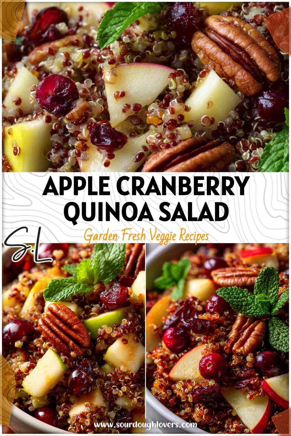 Apple Cranberry Quinoa Salad with Honey-Orange Dressing