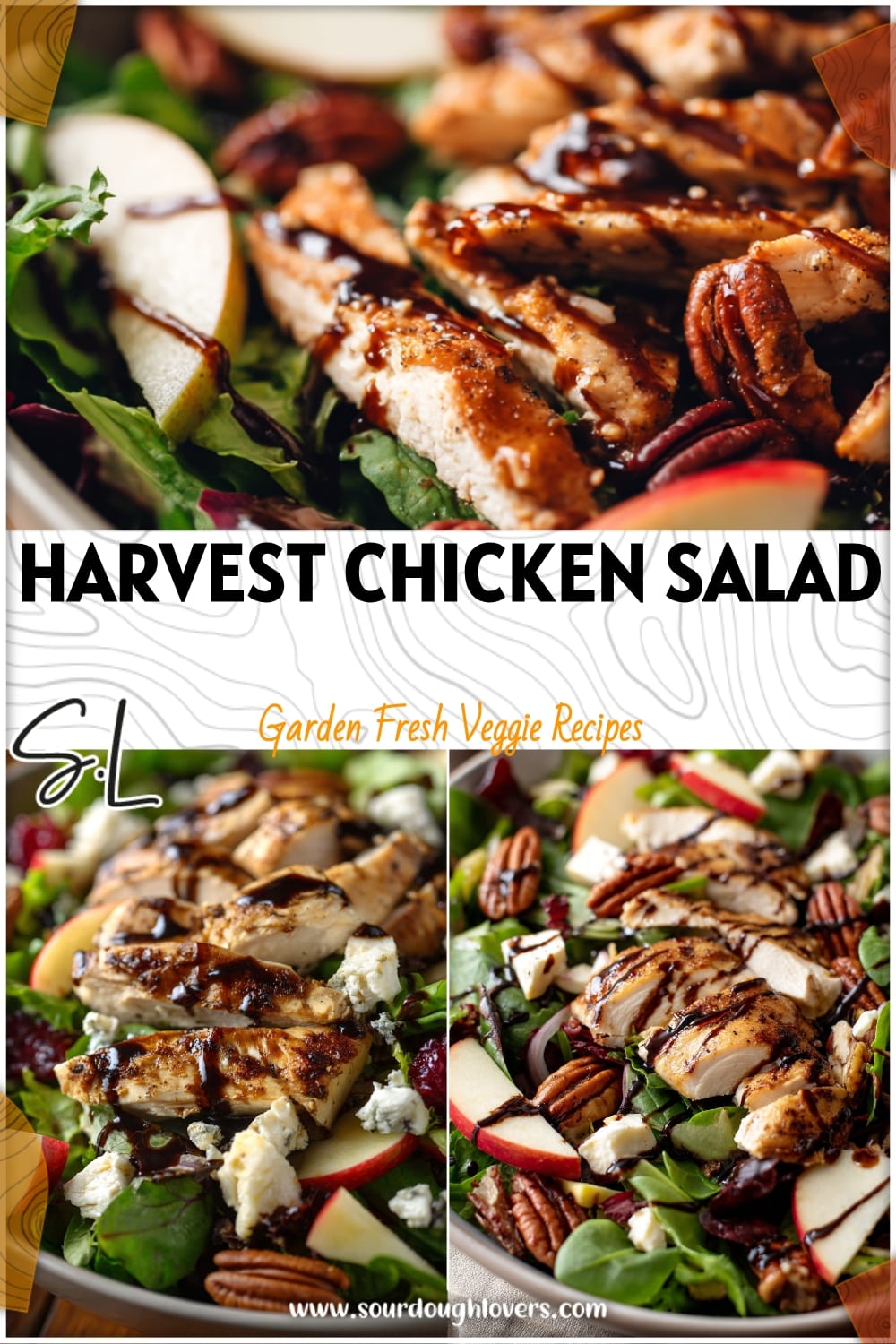 Harvest Chicken Salad with Homemade Balsamic Dressing - Healthy Family Dinner Idea