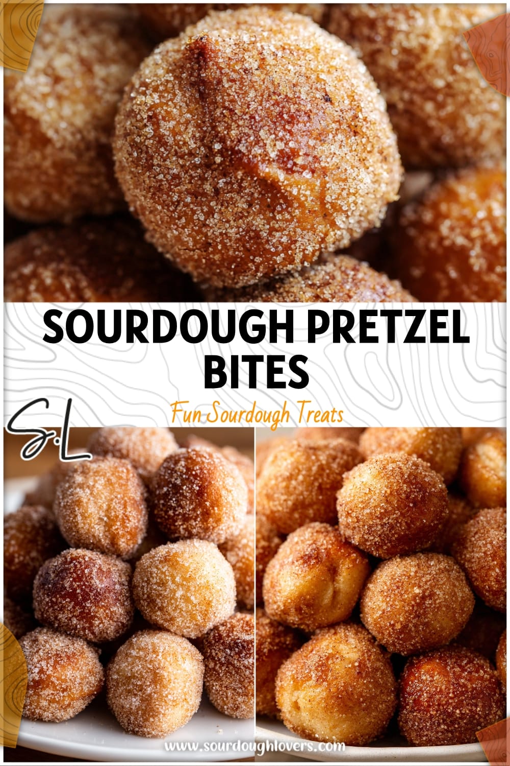 Sourdough Cinnamon Sugar Pretzel Bites Recipe