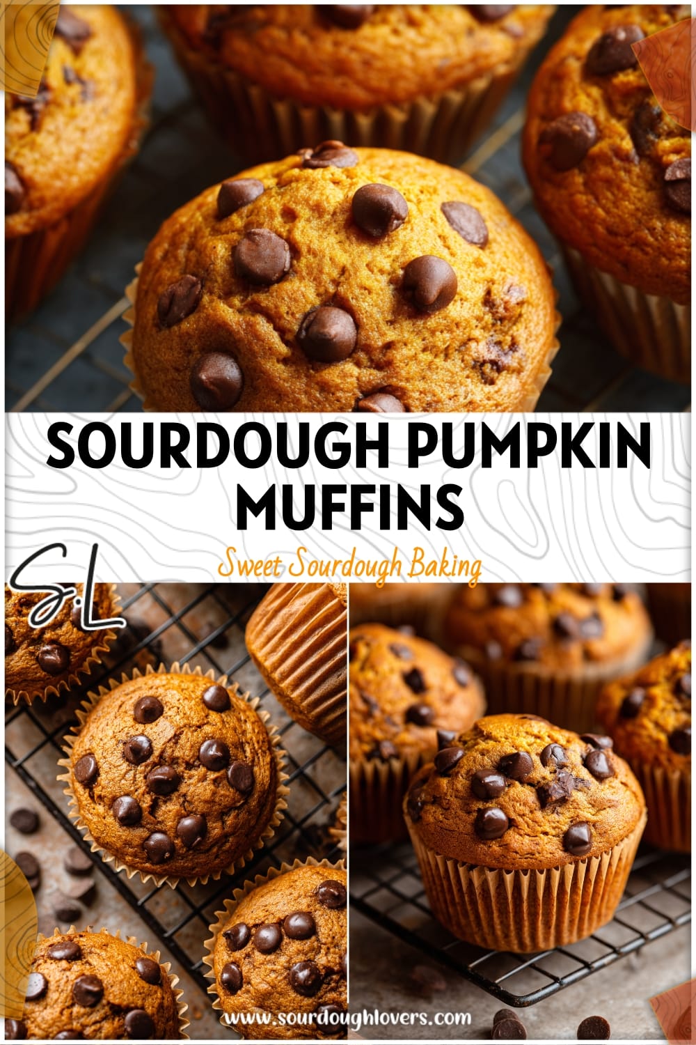 Sourdough Pumpkin Spice Muffins with Chocolate Chips 14 Sourdough Pumpkin Spice Muffins with Chocolate Chips