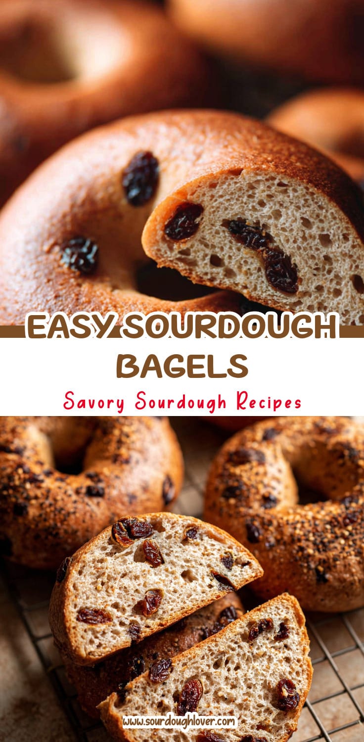 Easy Sourdough Bagels: No Yeast Cinnamon Raisin Recipe