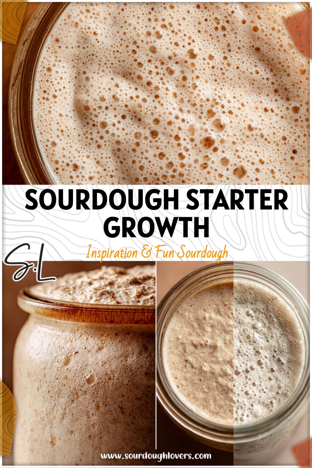 Sourdough Starter Growth: Before & After (Pain Solver)