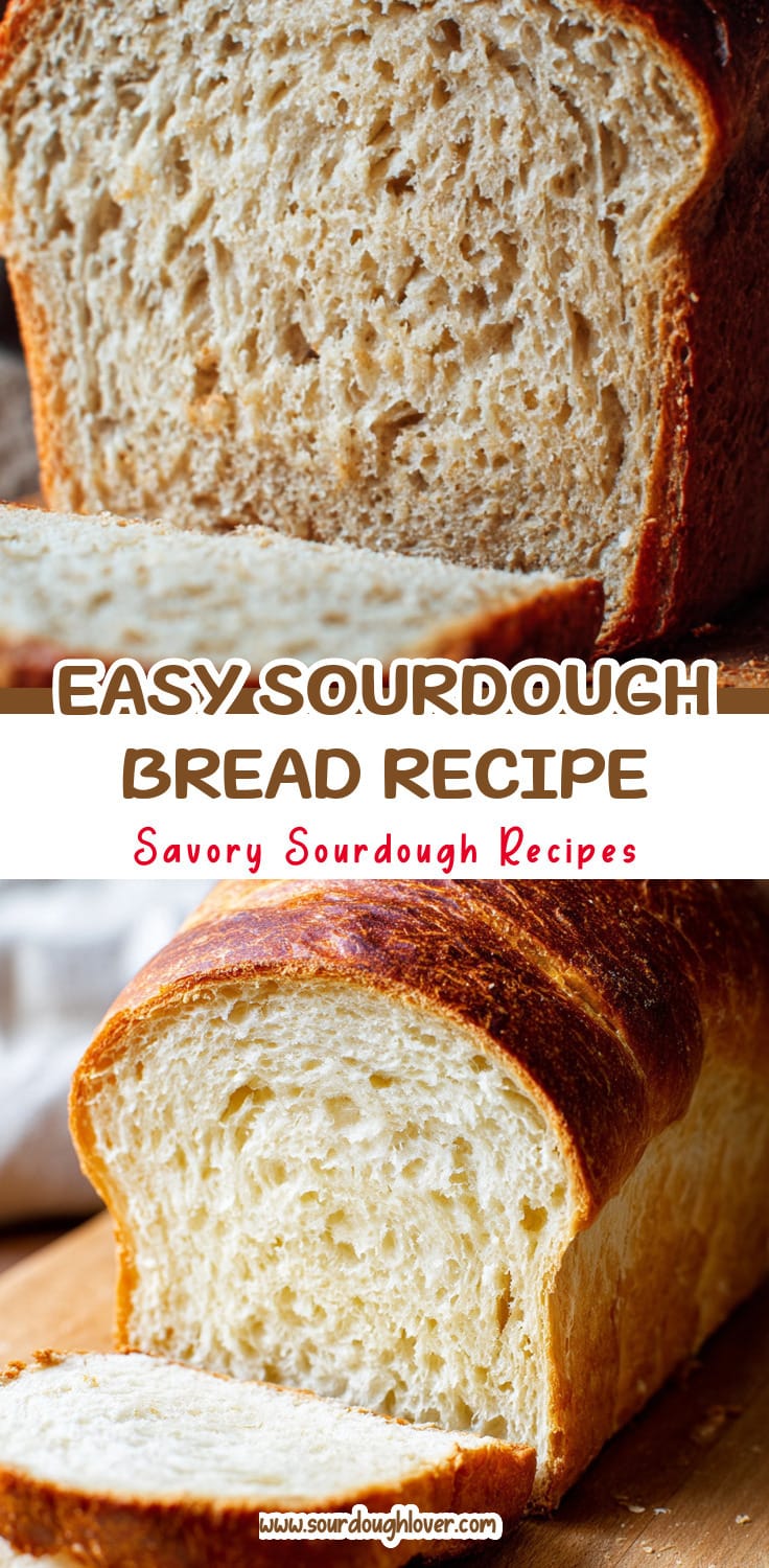 Easy Sourdough Discard Sandwich Bread Recipe for Beginners 14 Easy Sourdough Discard Sandwich Bread Recipe for Beginners