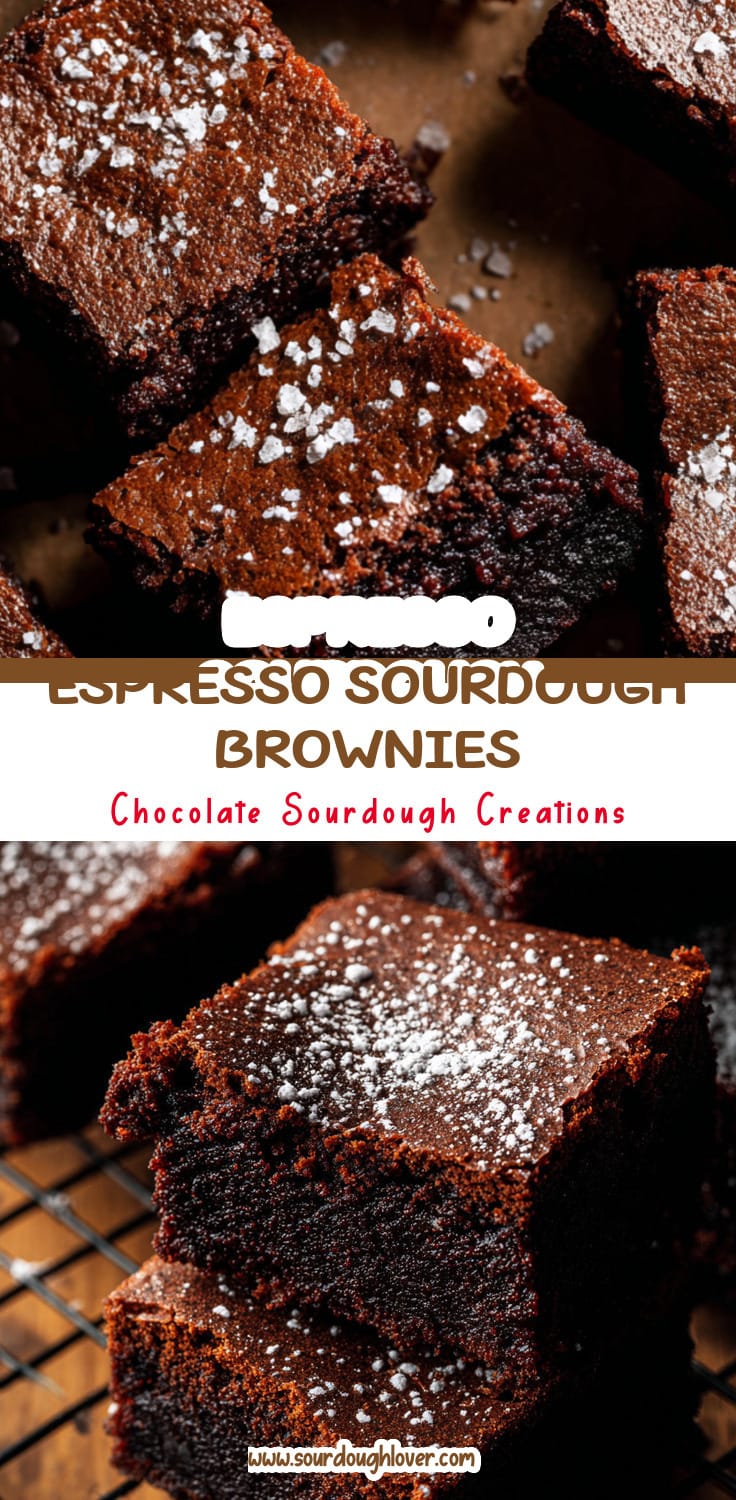 Sourdough Brownies with Espresso: A Sweet Treat Outcome