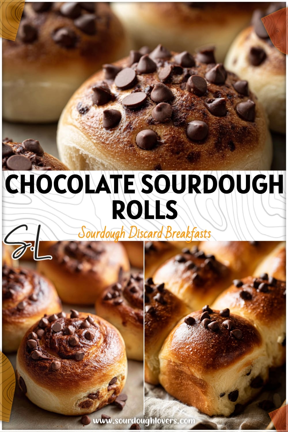 Chocolate Sourdough Breakfast Rolls That Feel Like Comfort Food 14 Chocolate Sourdough Breakfast Rolls That Feel Like Comfort Food