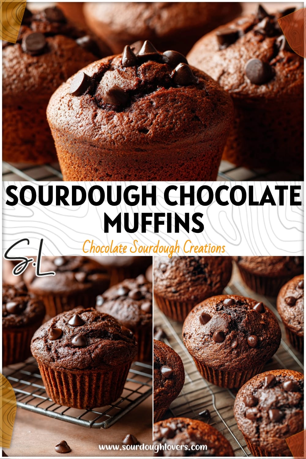 Sourdough Chocolate Muffins for Quick Breakfasts 14 Sourdough Chocolate Muffins for Quick Breakfasts