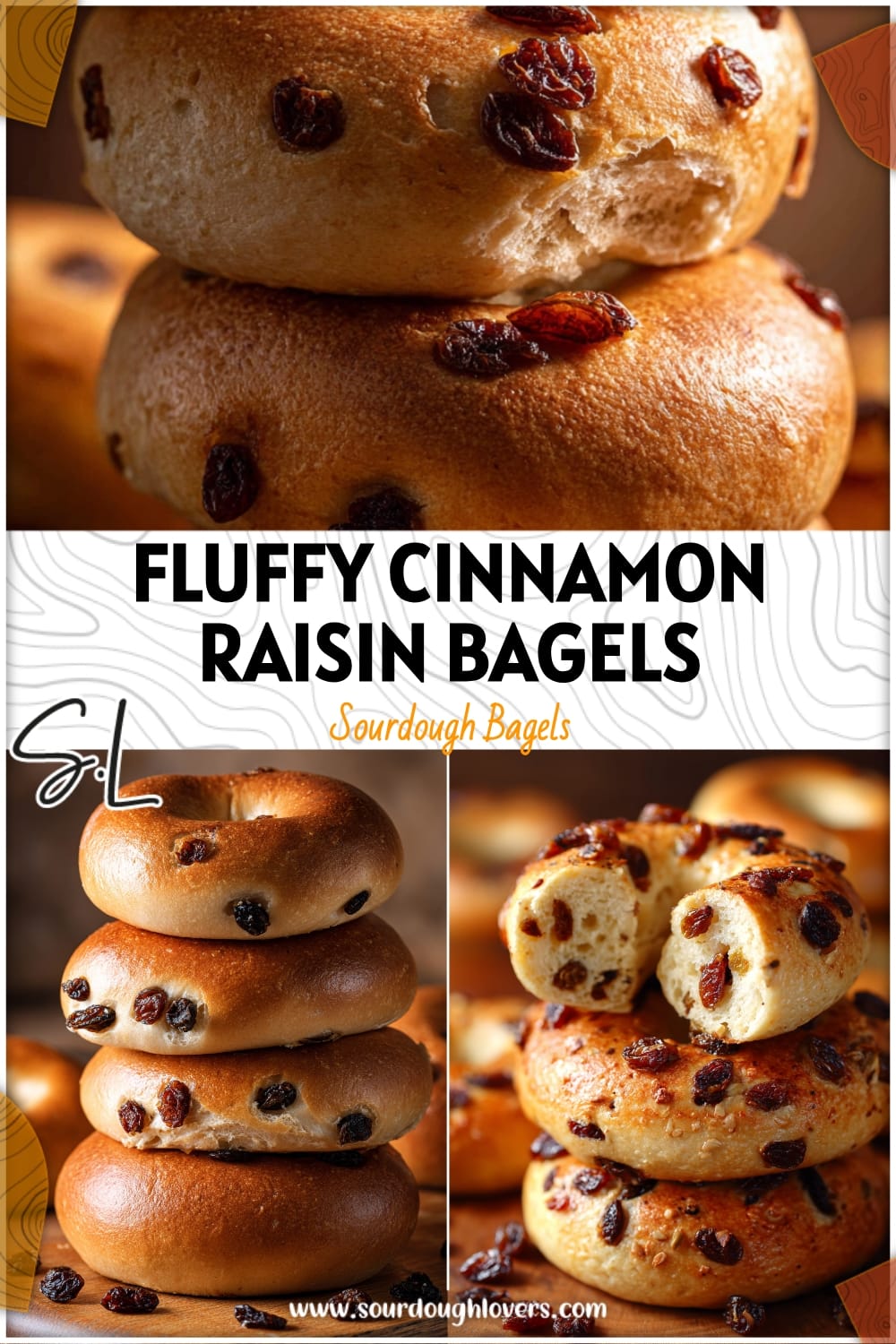 Fluffy Homemade Cinnamon Raisin Bagels That Taste Amazing