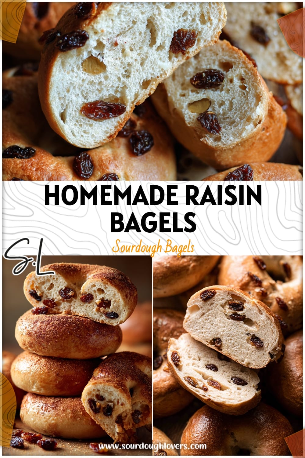 Fluffy Cinnamon Raisin Bagels: Homemade Recipe 14 Fluffy Cinnamon Raisin Bagels: Homemade Recipe