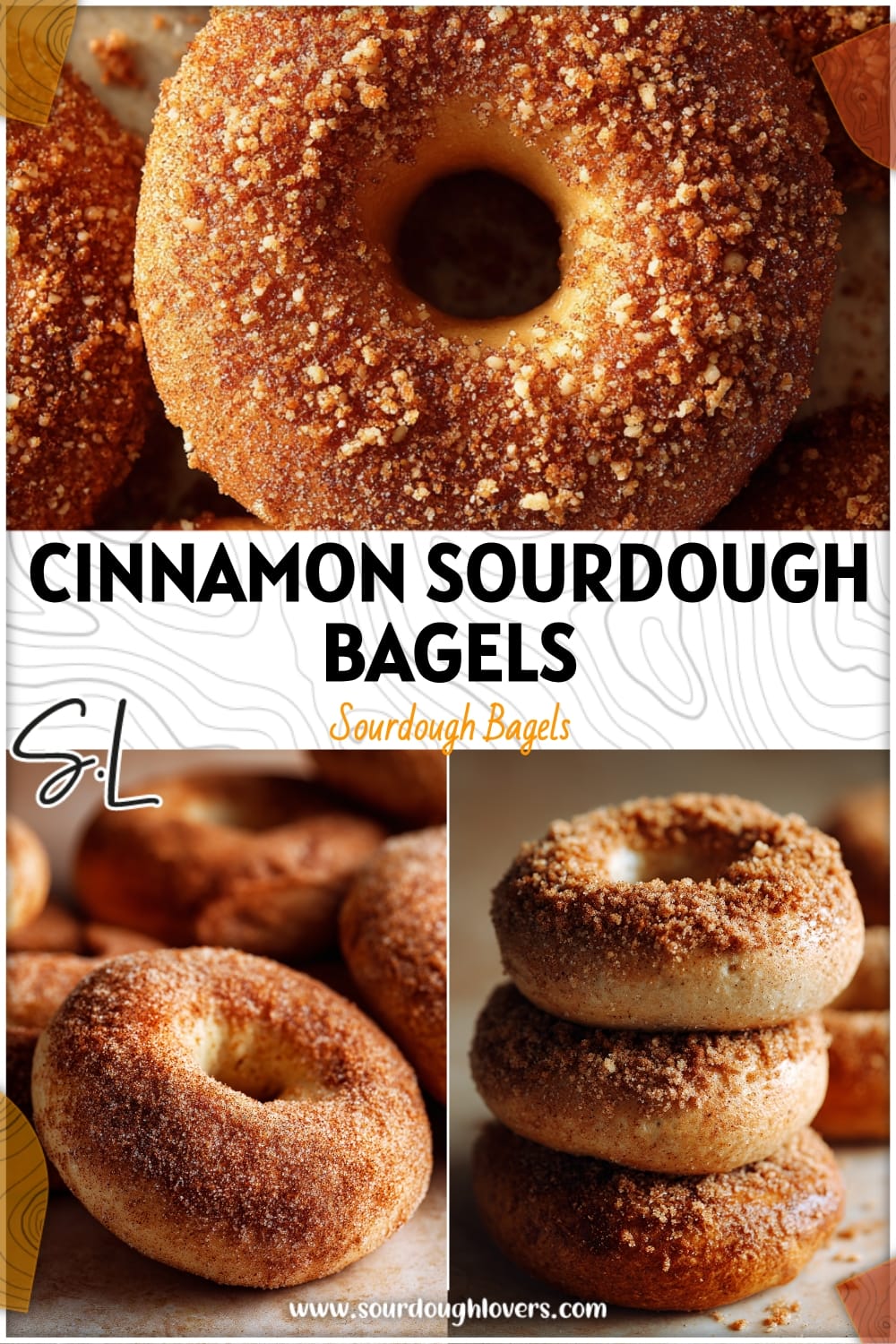Homemade Cinnamon Sugar Sourdough Bagels (Panera Copycat) 14 Homemade Cinnamon Sugar Sourdough Bagels (Panera Copycat)