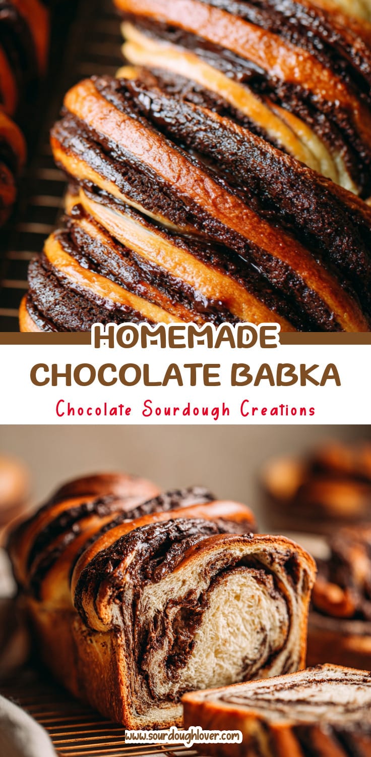 Homemade Dark Chocolate Sourdough Babka Tutorial