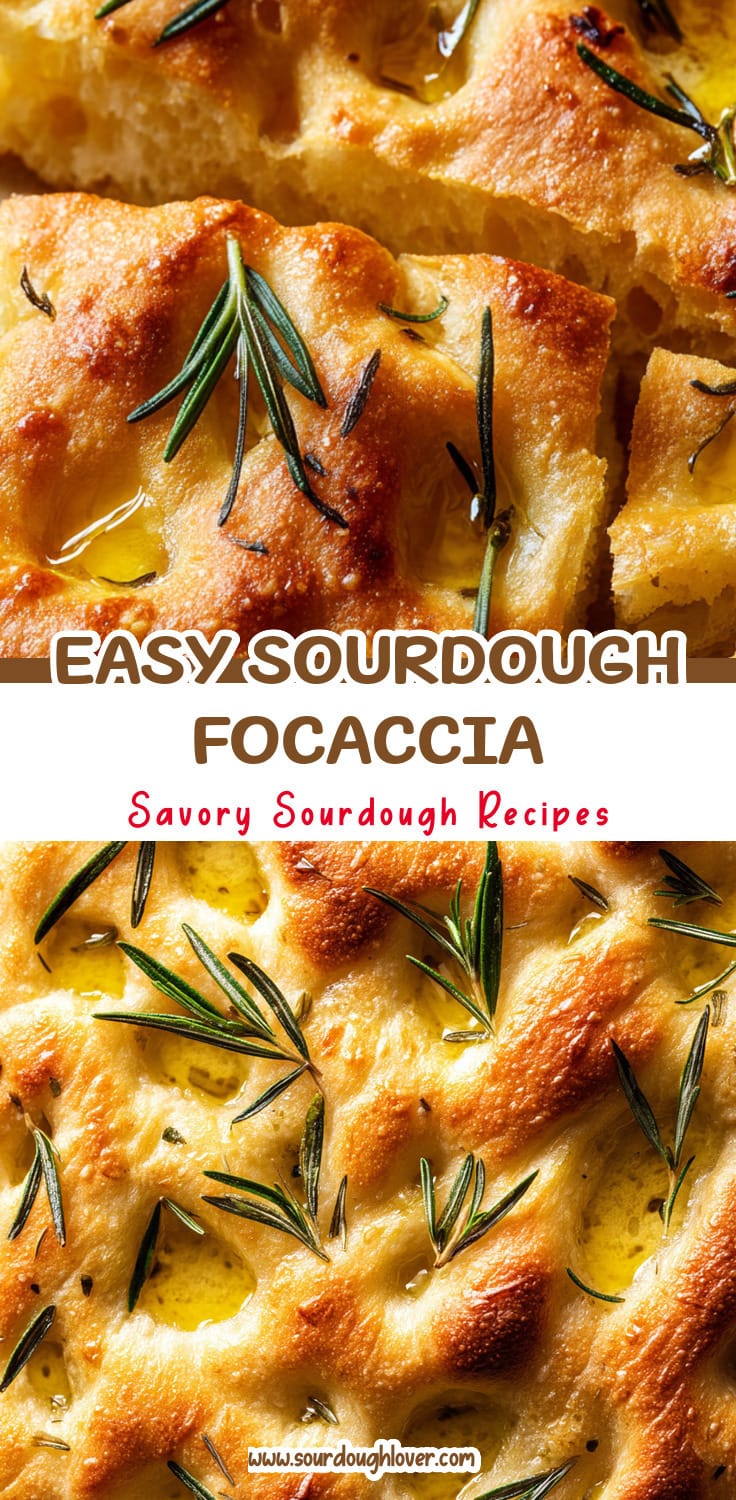 Easy Sourdough Focaccia (Same Day Recipe)