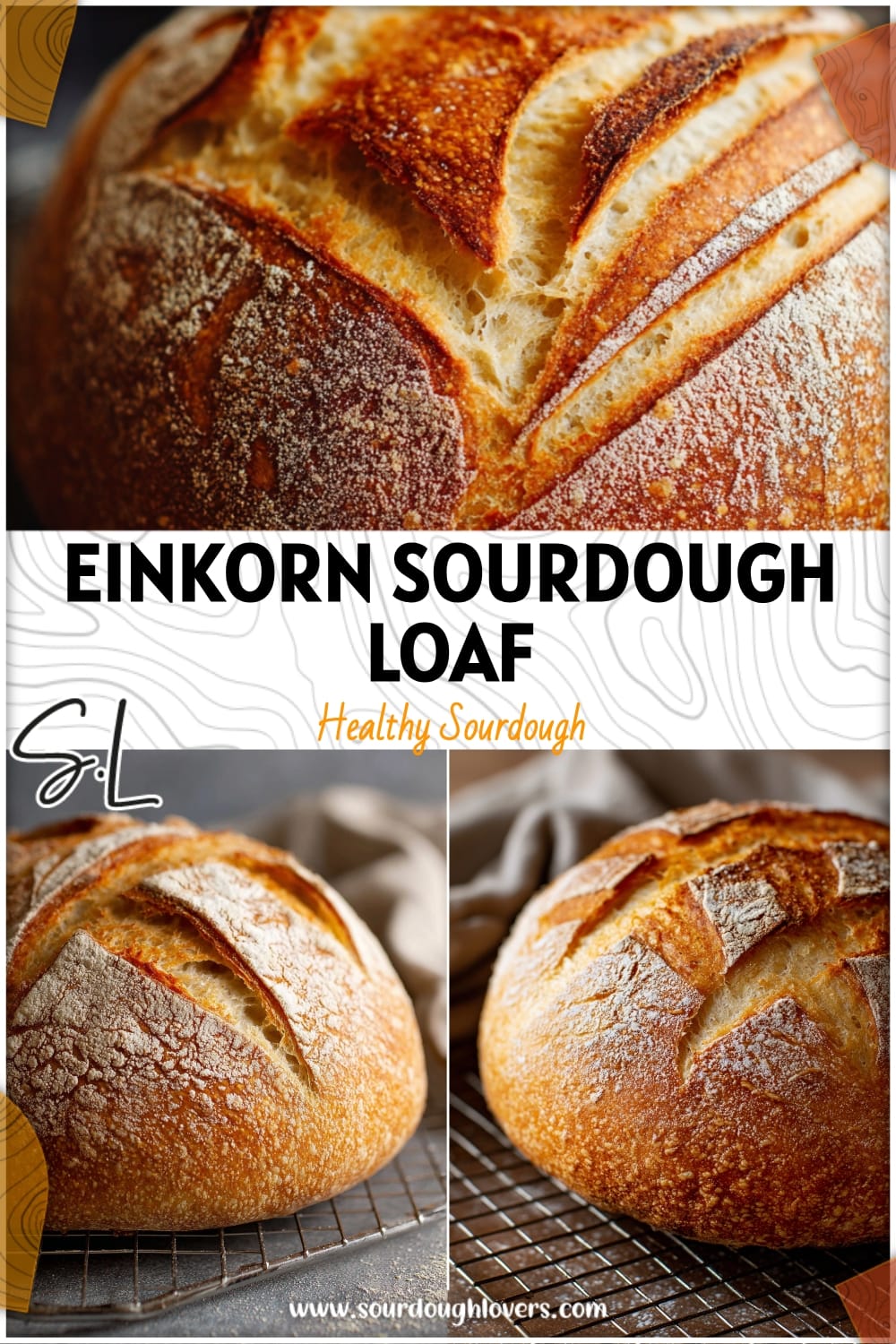Artisan Einkorn Sourdough Loaf Recipe (Beginner-Friendly)