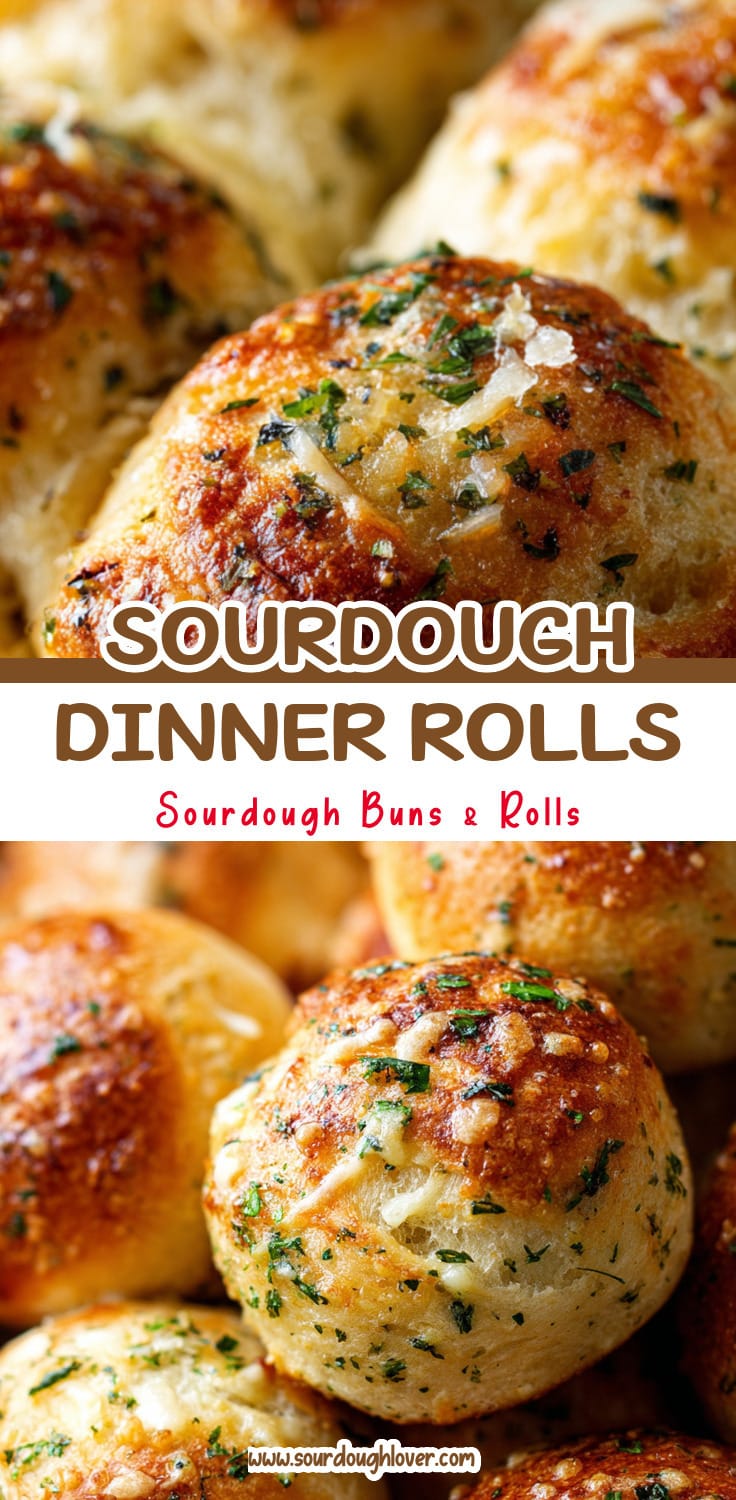 Herb & Parmesan Sourdough Dinner Rolls for Family Meals 14 Herb & Parmesan Sourdough Dinner Rolls for Family Meals