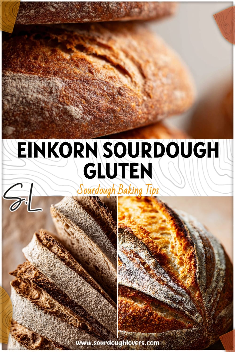 Strong Gluten Structure for Einkorn Sourdough 14 Strong Gluten Structure for Einkorn Sourdough