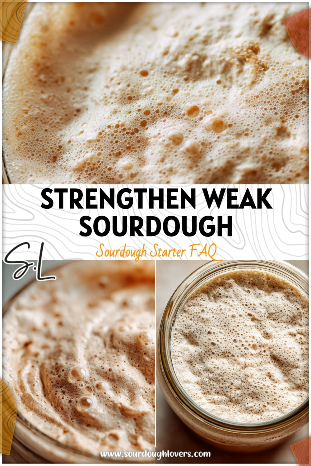 Sourdough Starter Troubleshooting: How to Strengthen a Weak Starter