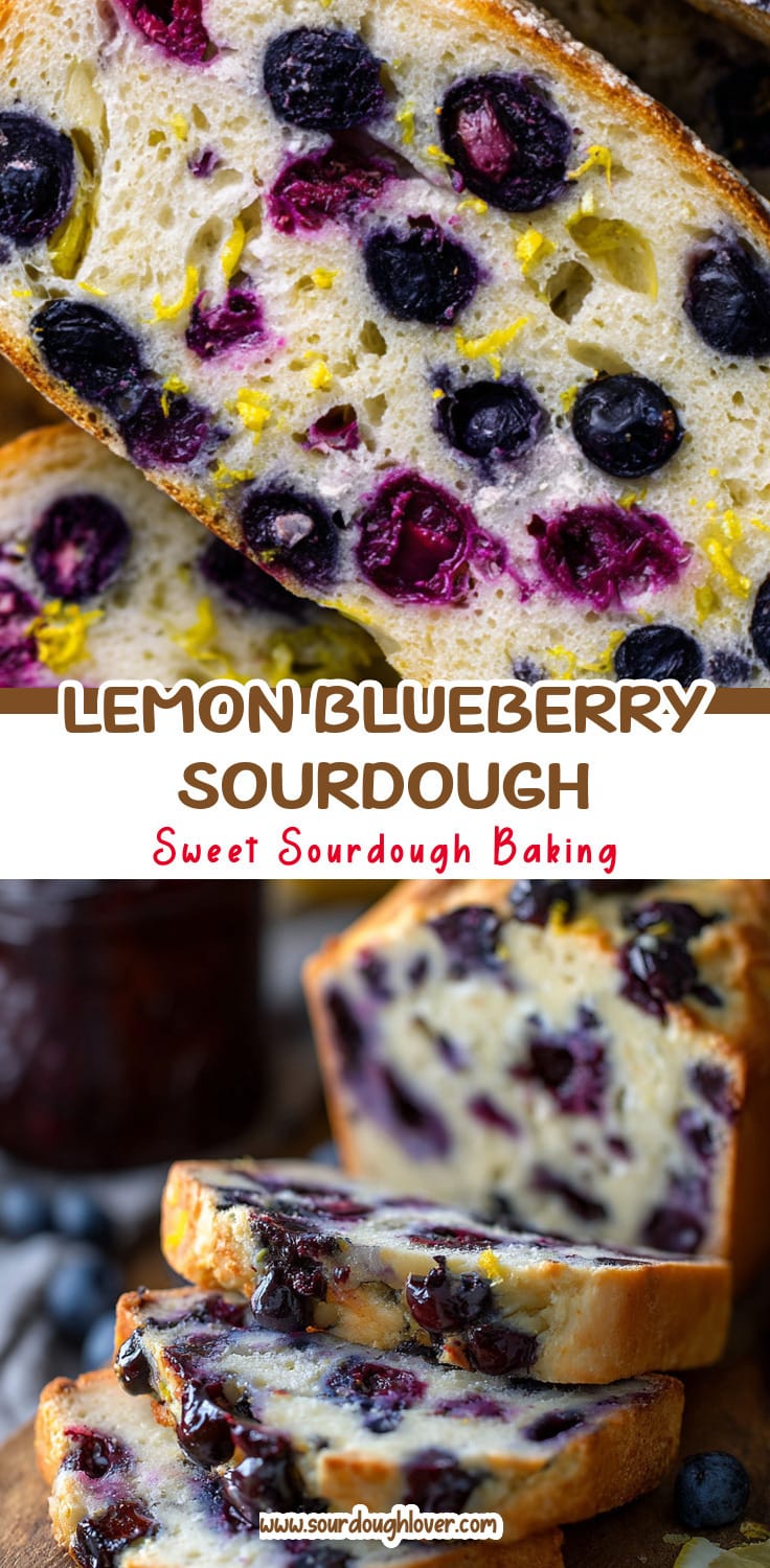 Easy Lemon Blueberry Sourdough Bread Recipe 14 Easy Lemon Blueberry Sourdough Bread Recipe