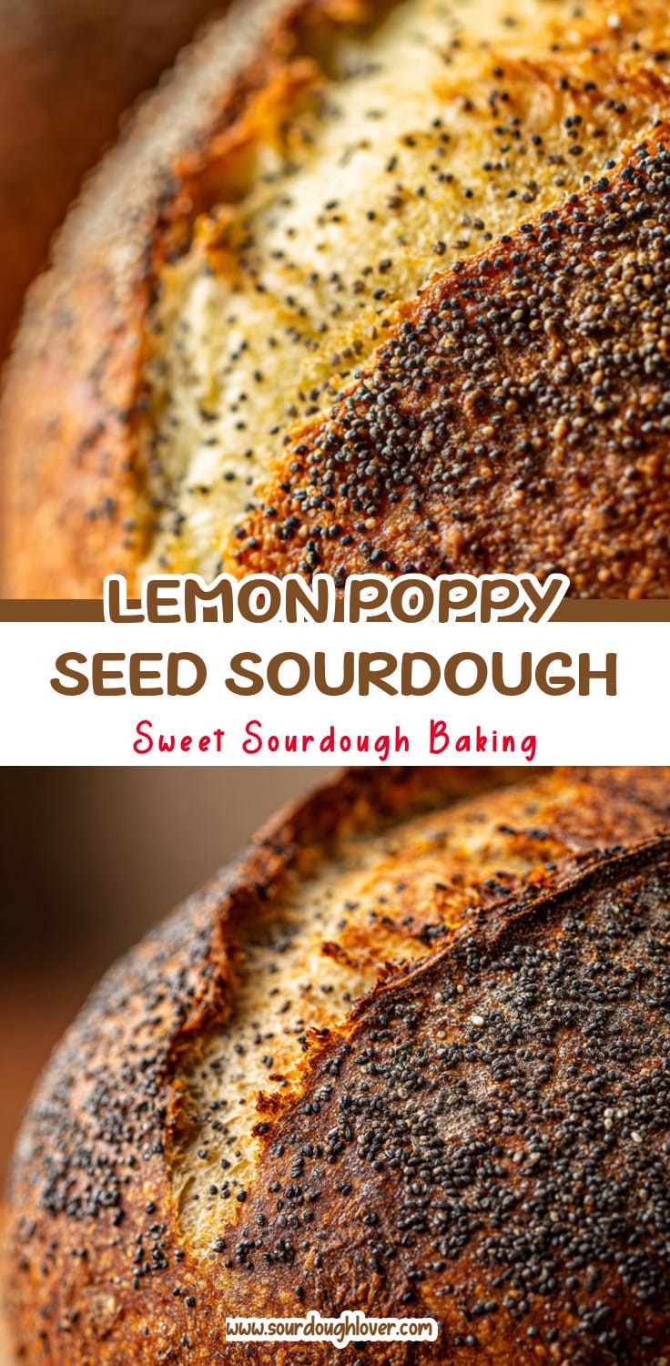 Lemon Poppy Seed Sourdough Loaf for Bright Flavor