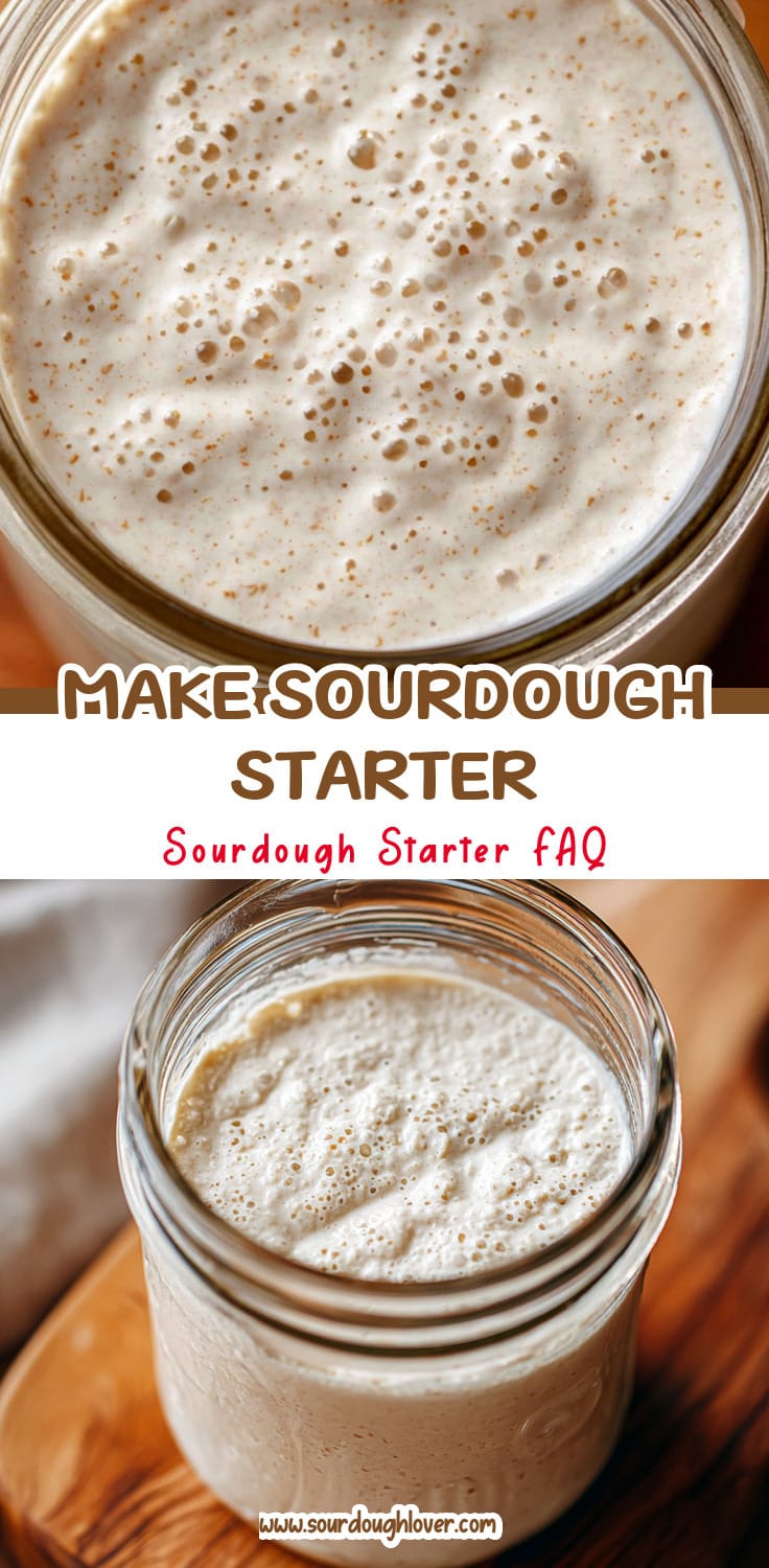 Simple Sourdough Starter: Make From Scratch (Easy Tutorial) 14 Simple Sourdough Starter: Make From Scratch (Easy Tutorial)