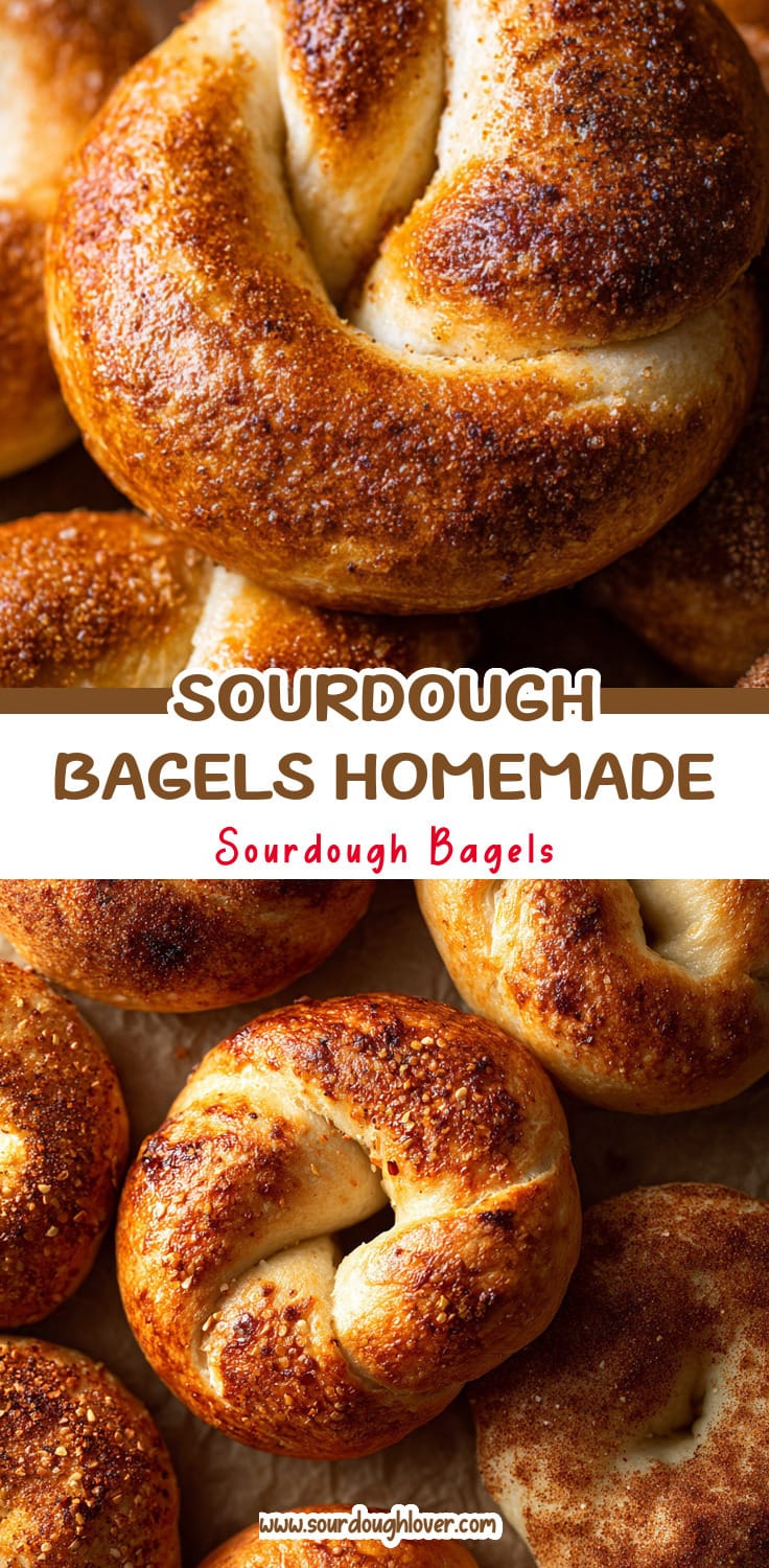 Homemade Sourdough Bagels That Taste Like a Bakery Breakfast 14 Homemade Sourdough Bagels That Taste Like a Bakery Breakfast