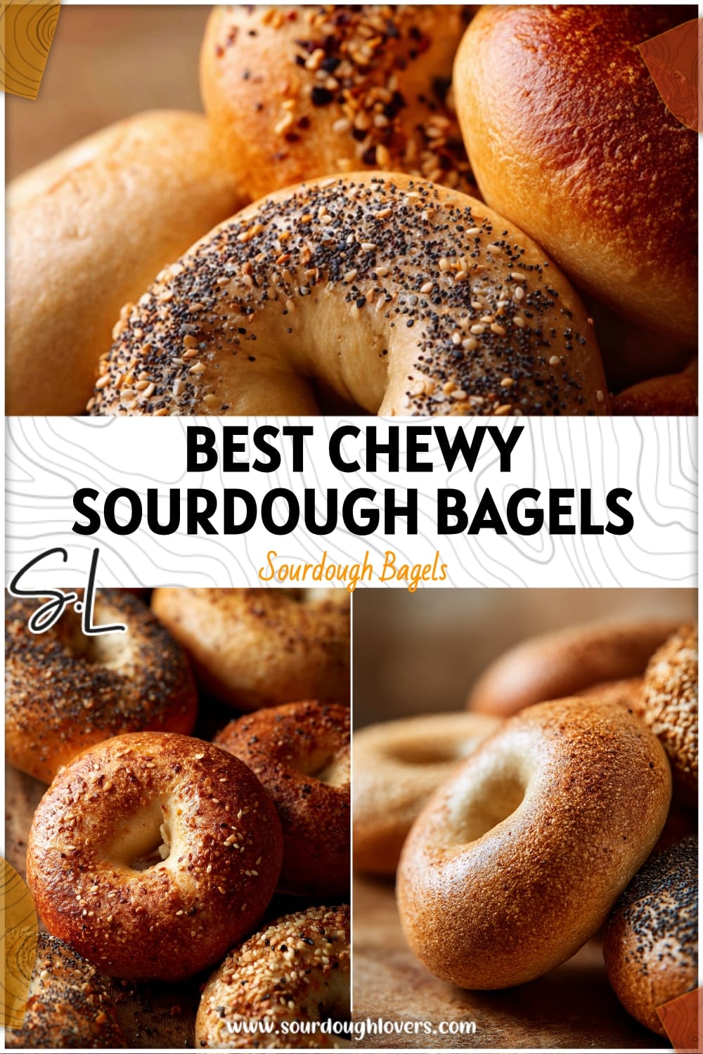 Plain vs. Boiled Sourdough Bagels: Which Method Makes the Best Chewy Bagels?