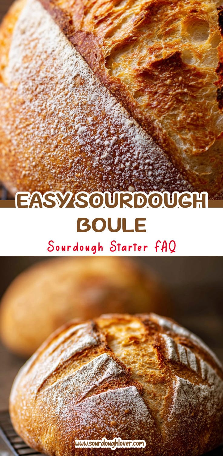 Rustic Sourdough Boule for Beginners (Easy Recipe)