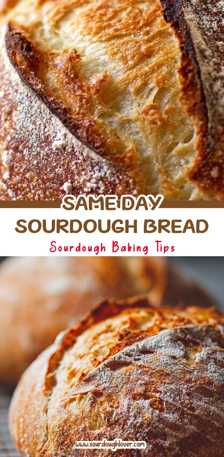 Easy Sourdough Bread Recipe: Bake Same Day! 14 Easy Sourdough Bread Recipe: Bake Same Day!