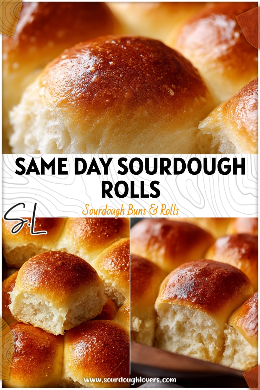 Soft Sourdough Dinner Rolls (Same Day Recipe)