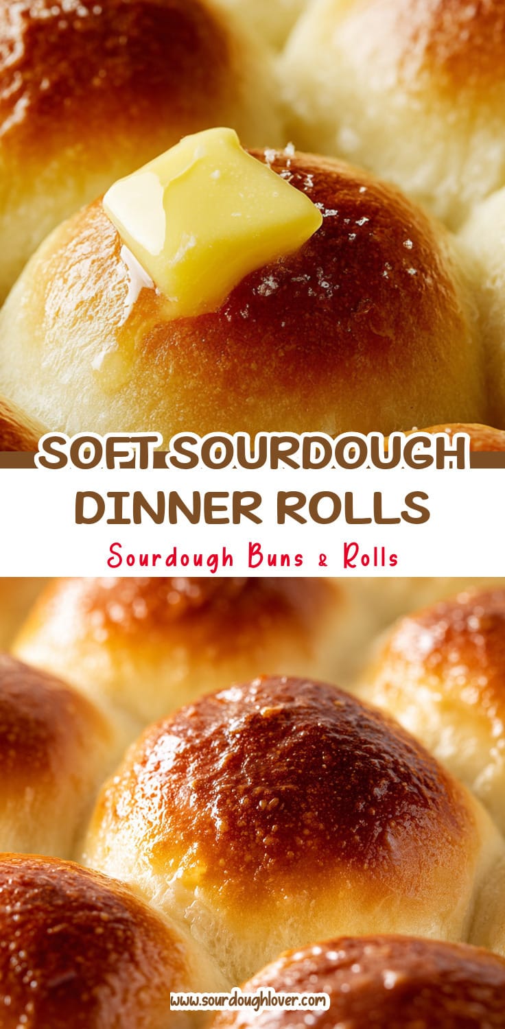 Soft Sourdough Dinner Rolls with Golden Butter Tops