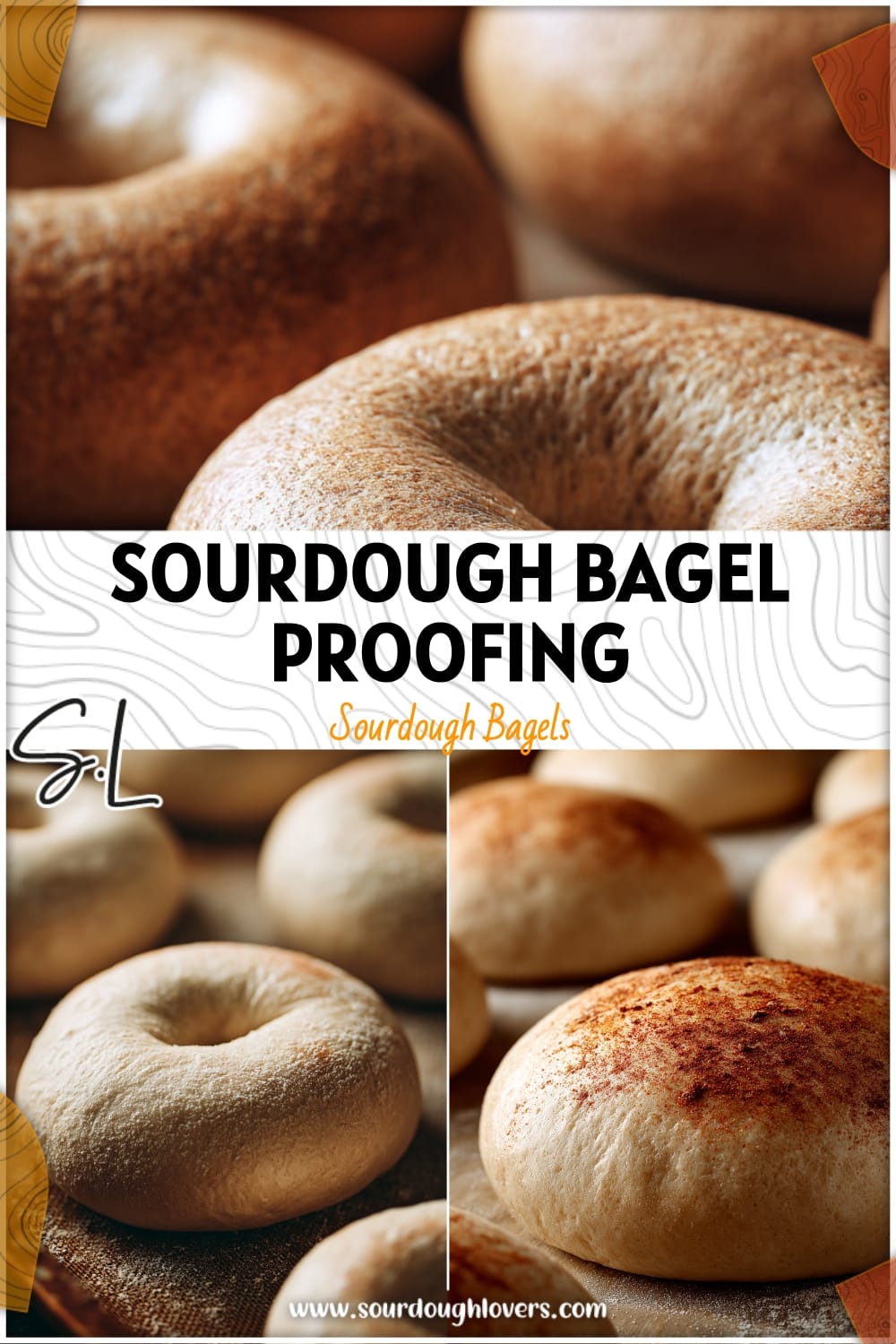 Sourdough Bagel Proofing Troubleshooting: Solve Common Issues